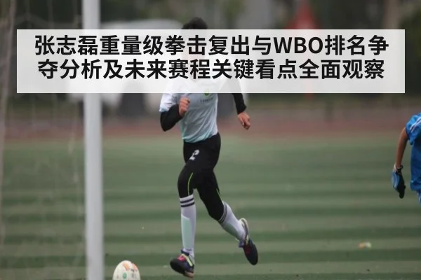 张志磊重量级拳击复出与WBO排名争夺分析及未来赛程关键看点全面观察