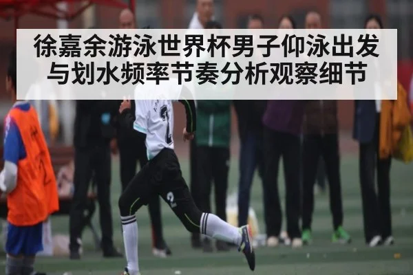 徐嘉余游泳世界杯男子仰泳出发与划水频率节奏分析观察细节 | kaiyun